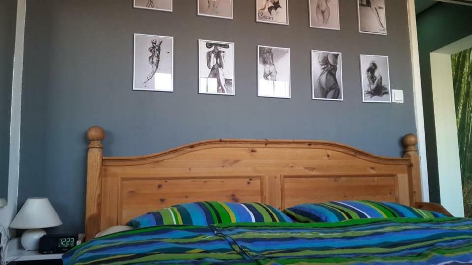 Apartman Sirius オシエク エクステリア 写真